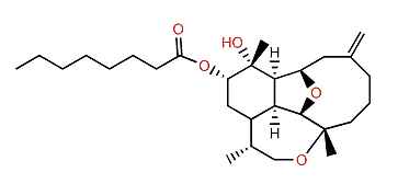 Briarellin I